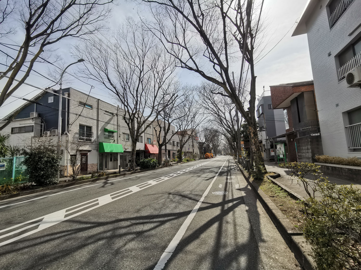 三国ヶ丘 けやき通り 通学路