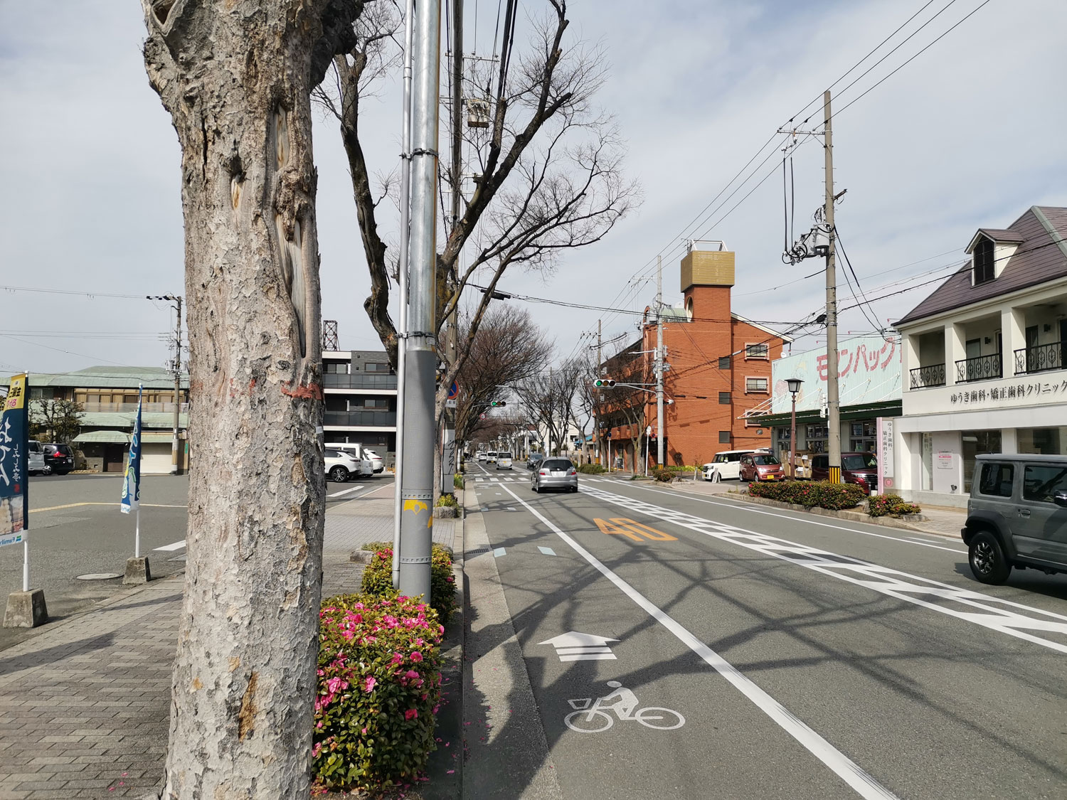けやき通り 道路風景