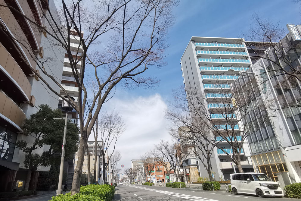 大小路通りの街並み 商業と住宅が混在する市小学校校区