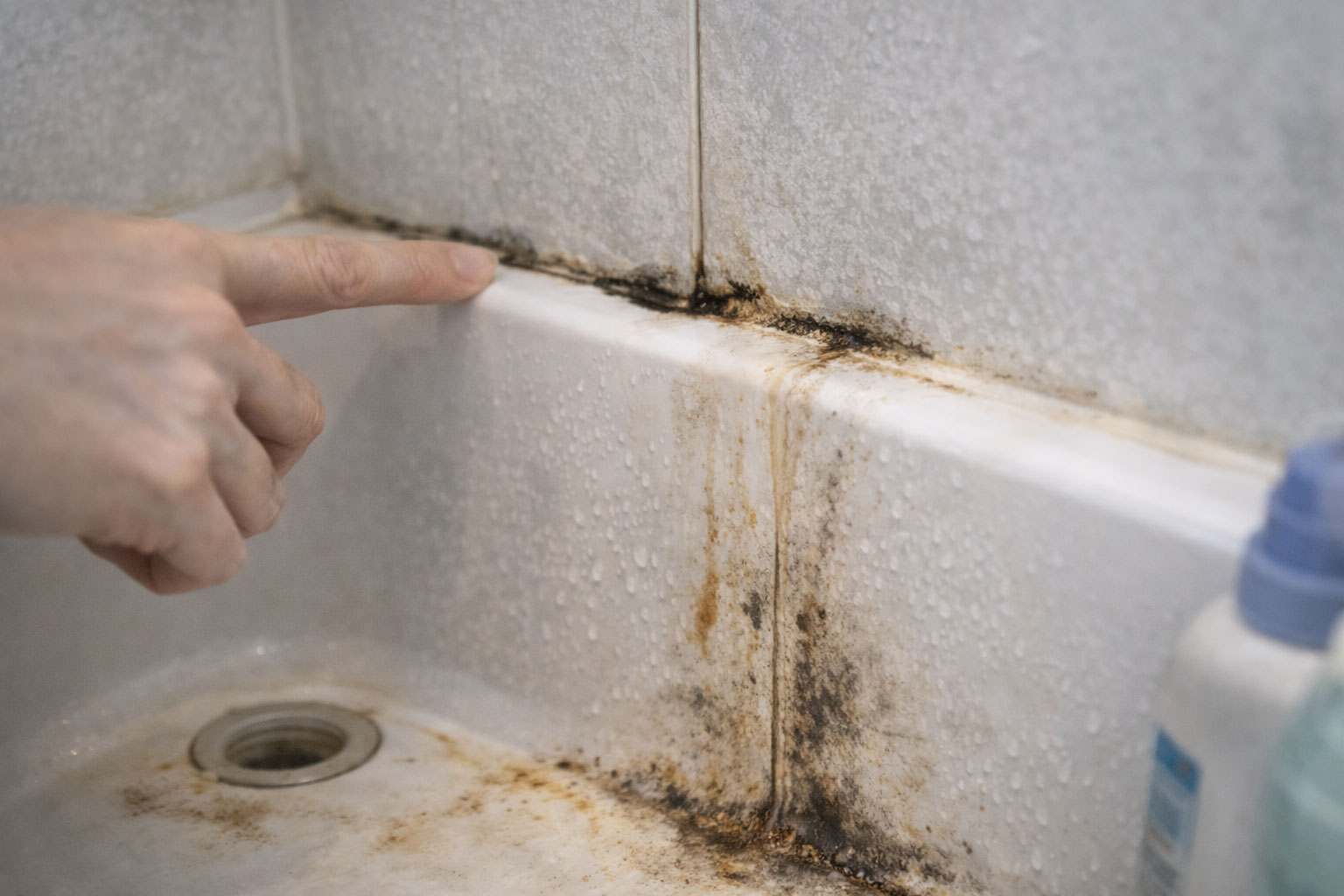 賃貸内見 浴室チェック